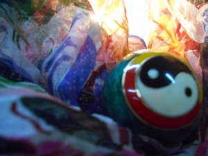 Dominika Kamińska D